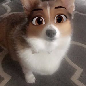 Meet your Posher, Meagan